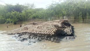 Malawi2 from 2022 January Newsletter.
