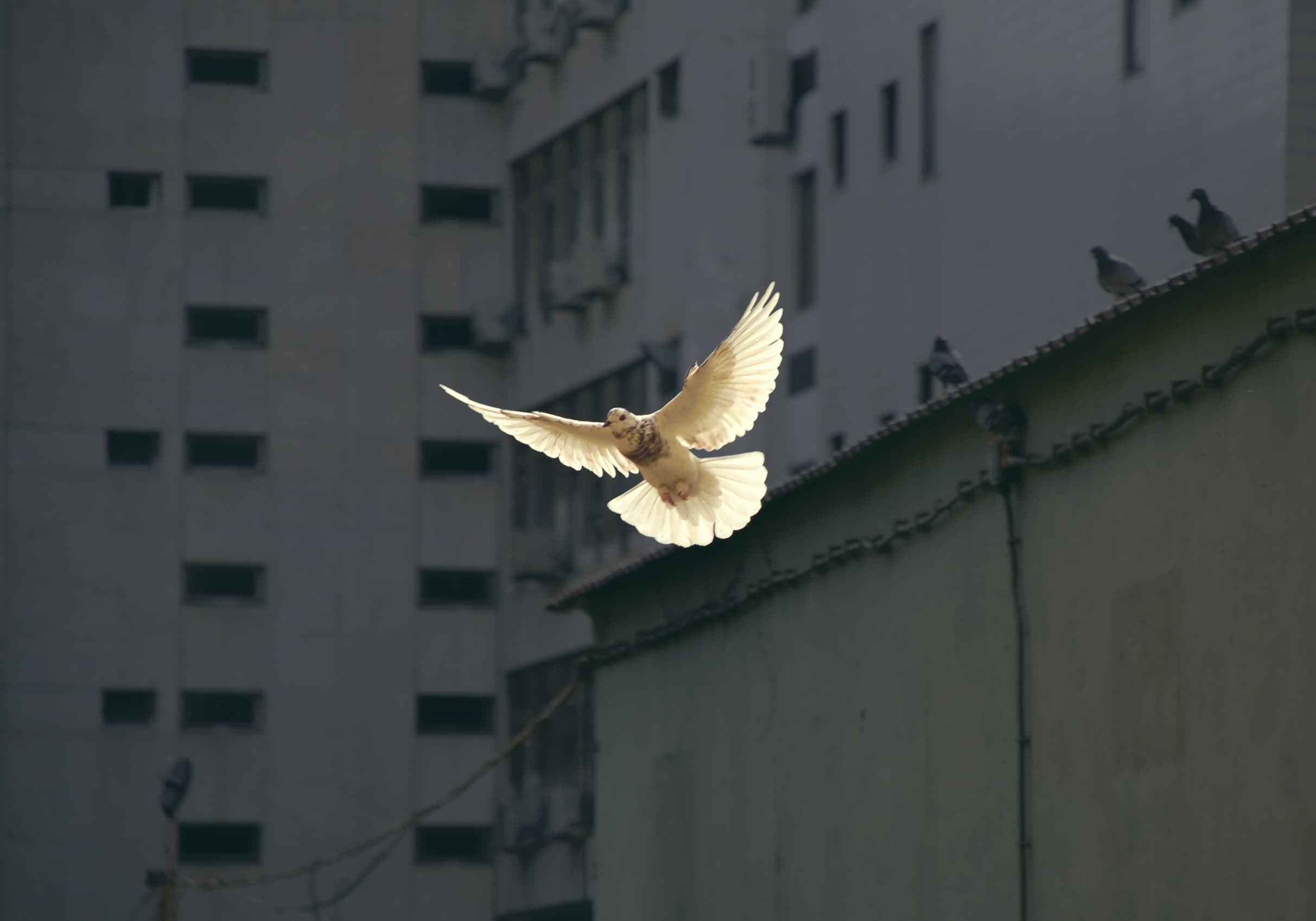 sunguk kim JhqBxsORuXA unsplash from 2022 February Newsletter.