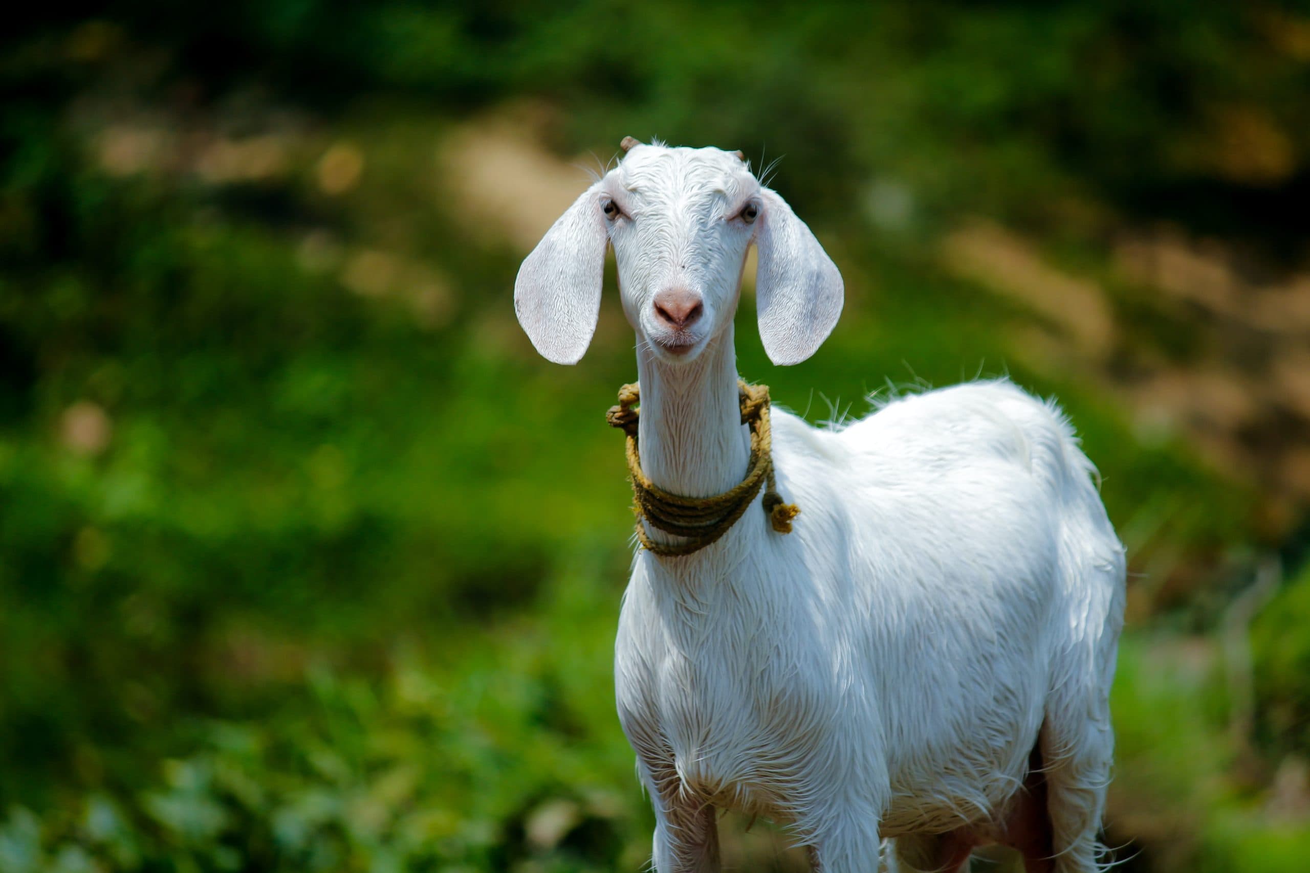 nandhu kumar jAMcUbsTvWE unsplash scaled from 2023 August Newsletter.