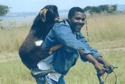 Goat 2on bicycle Jan 24 from 2024 January Newsletter.